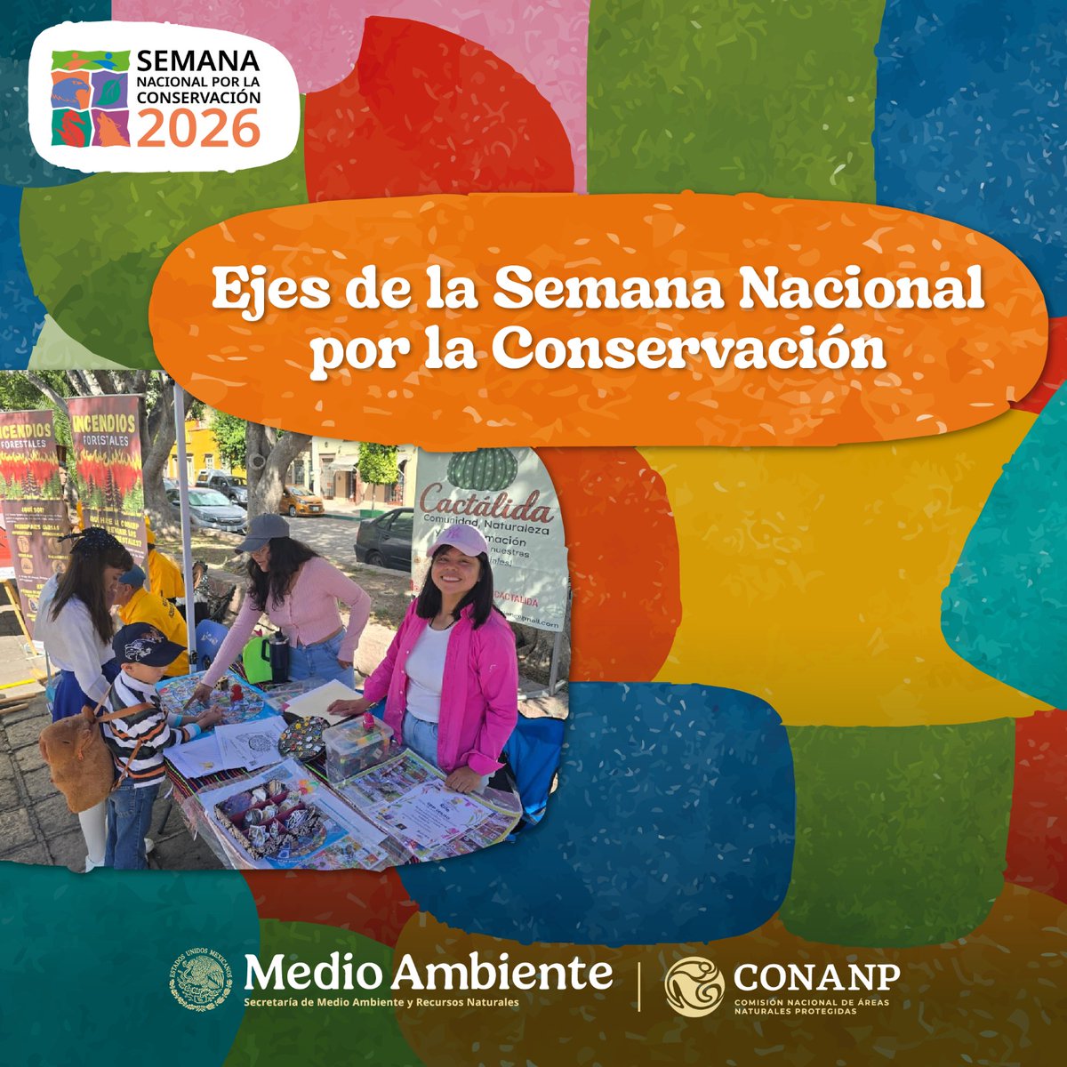 CONANP_mx's tweet photo. ¡Tú eres parte de la conservación! 🙋🏽‍♀️🙋🏽‍♂️

En octubre organiza tu actividad, súmate al movimiento y registra tus logros en la #SNC2026. ✅

Toda la información está disponible en ➡️ https://t.co/QFErpPNNt1 #SomosNaturaleza #ConservaciónDeLaNaturaleza 🦇🦆🦨🌼🍄🌴🦉🐢🦞🐋🦦🥾🪲🦋 https://t.co/shUwPPB151