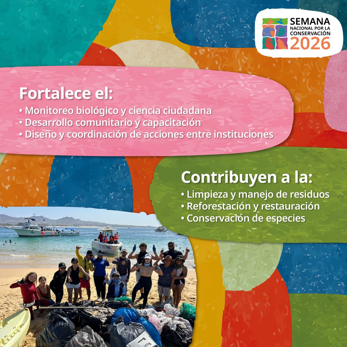CONANP_mx's tweet photo. ¡Tú eres parte de la conservación! 🙋🏽‍♀️🙋🏽‍♂️

En octubre organiza tu actividad, súmate al movimiento y registra tus logros en la #SNC2026. ✅

Toda la información está disponible en ➡️ https://t.co/QFErpPNNt1 #SomosNaturaleza #ConservaciónDeLaNaturaleza 🦇🦆🦨🌼🍄🌴🦉🐢🦞🐋🦦🥾🪲🦋 https://t.co/shUwPPB151