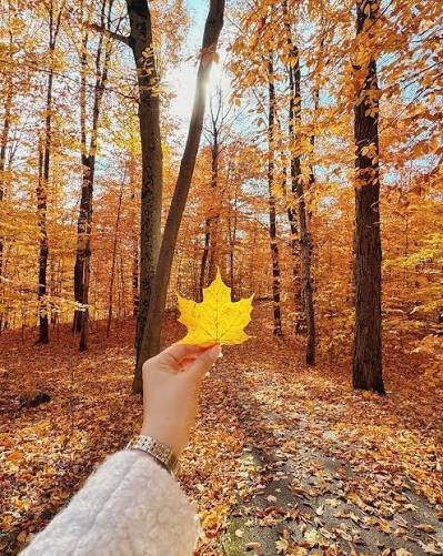 n000rv0's tweet photo. #يوم_الجمعه
🍂🍁 ان الله وملائكته يصلون على النبي*
 يآ إيها الذين آمنوا
 صلوا عليه وسلموا تسليما 🍁🍂 https://t.co/KmPHn3B0gP