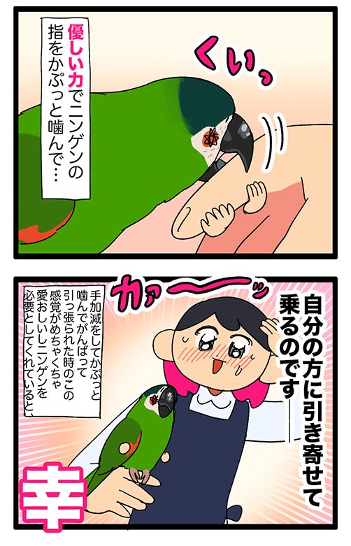 lpo_on's tweet photo. 鳥さんのあんよが届かない時、クチバシで手繰り寄せてくれるの……𝓛𝓸𝓿𝓮だ

2984 #えるポピの絵日記かくところ https://t.co/akO5fCeS2d