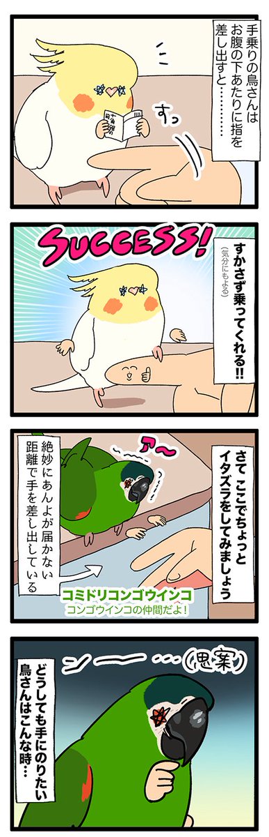 lpo_on's tweet photo. 鳥さんのあんよが届かない時、クチバシで手繰り寄せてくれるの……𝓛𝓸𝓿𝓮だ

2984 #えるポピの絵日記かくところ https://t.co/akO5fCeS2d