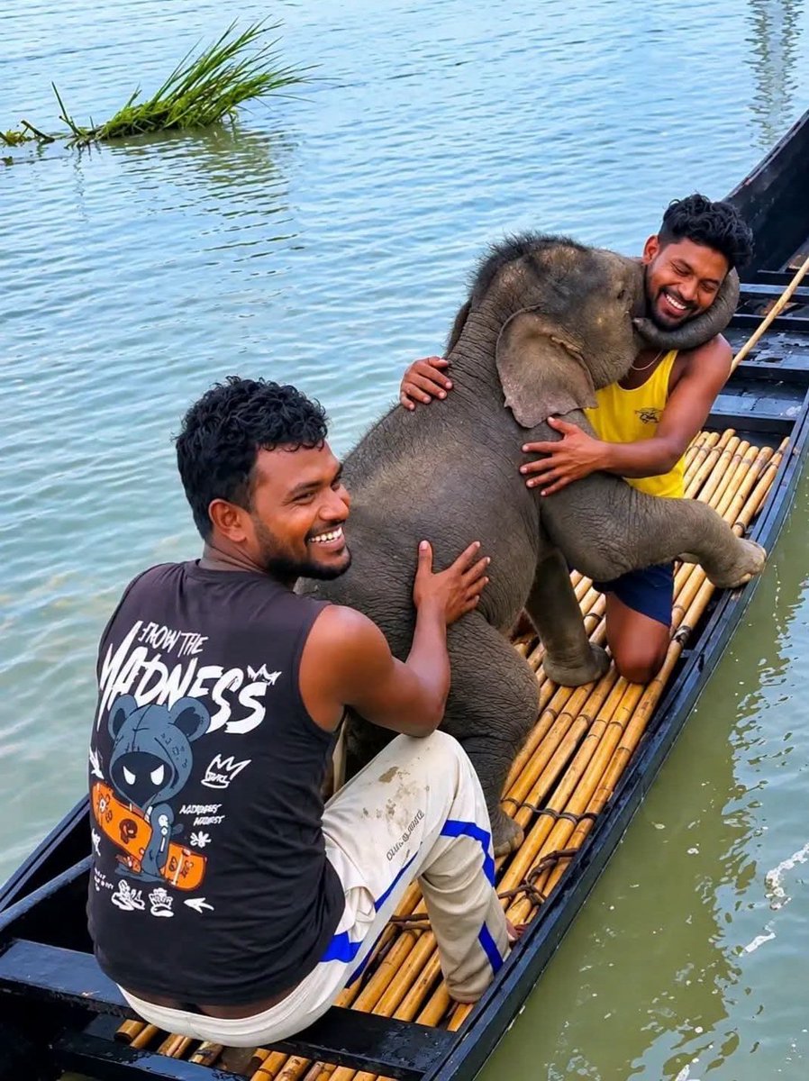 suganthyy's tweet photo. எதிர்பார்ப்பற்ற
அன்பும் 
கருணையுமே
இவ்வுலகின் 
ஆகச்சிறந்த அழகு !

#தீtwitz https://t.co/jAeN3RQuwU