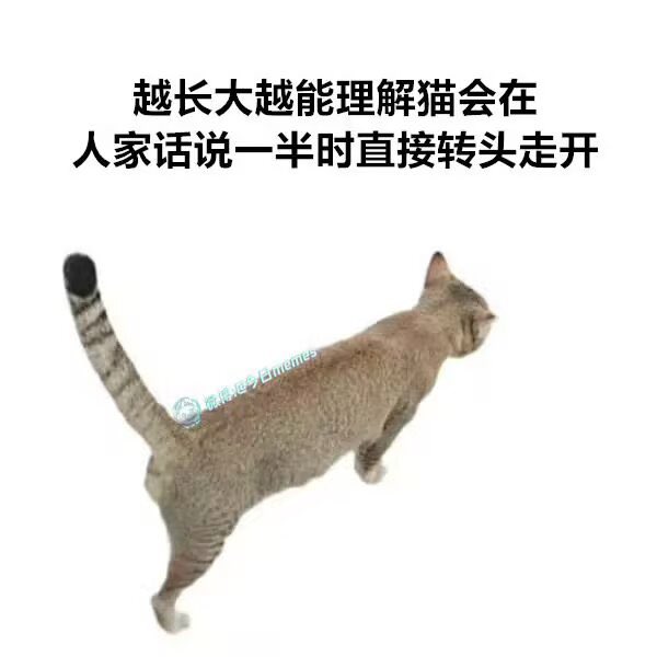 hgds0's tweet photo. https://t.co/LlaZBBXMWC