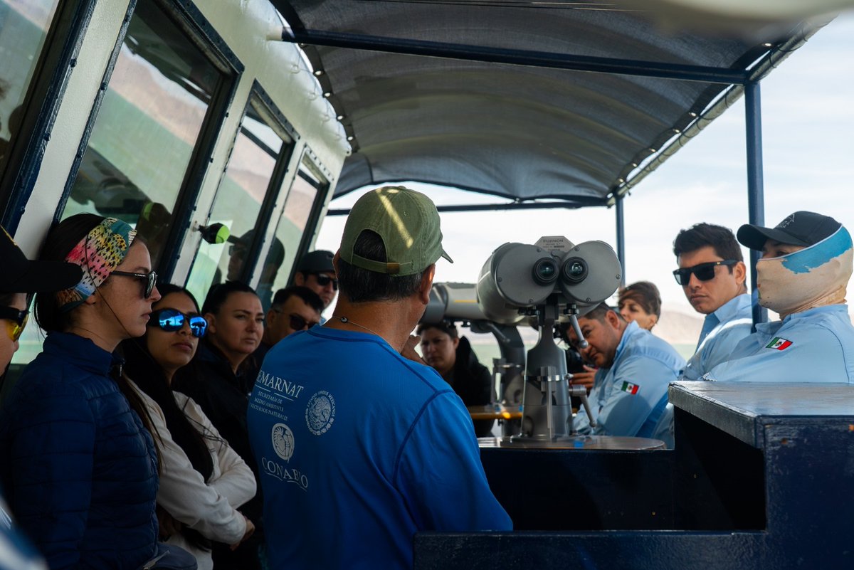 CONANP_mx's tweet photo. La #Conanp y @SeaShepherdSSCS publicaron los resultados de la "Campaña de Entrenamiento en Observación y Fotografía de #VaquitaMarina 2026". 🐋

Conoce más ➡️ https://t.co/QUfO8pEuGw #SomosNaturaleza #GuardianesDeLaNaturaleza 🐋🌿🌊🔭🛳️🔊 https://t.co/Vk30Wqhl3M