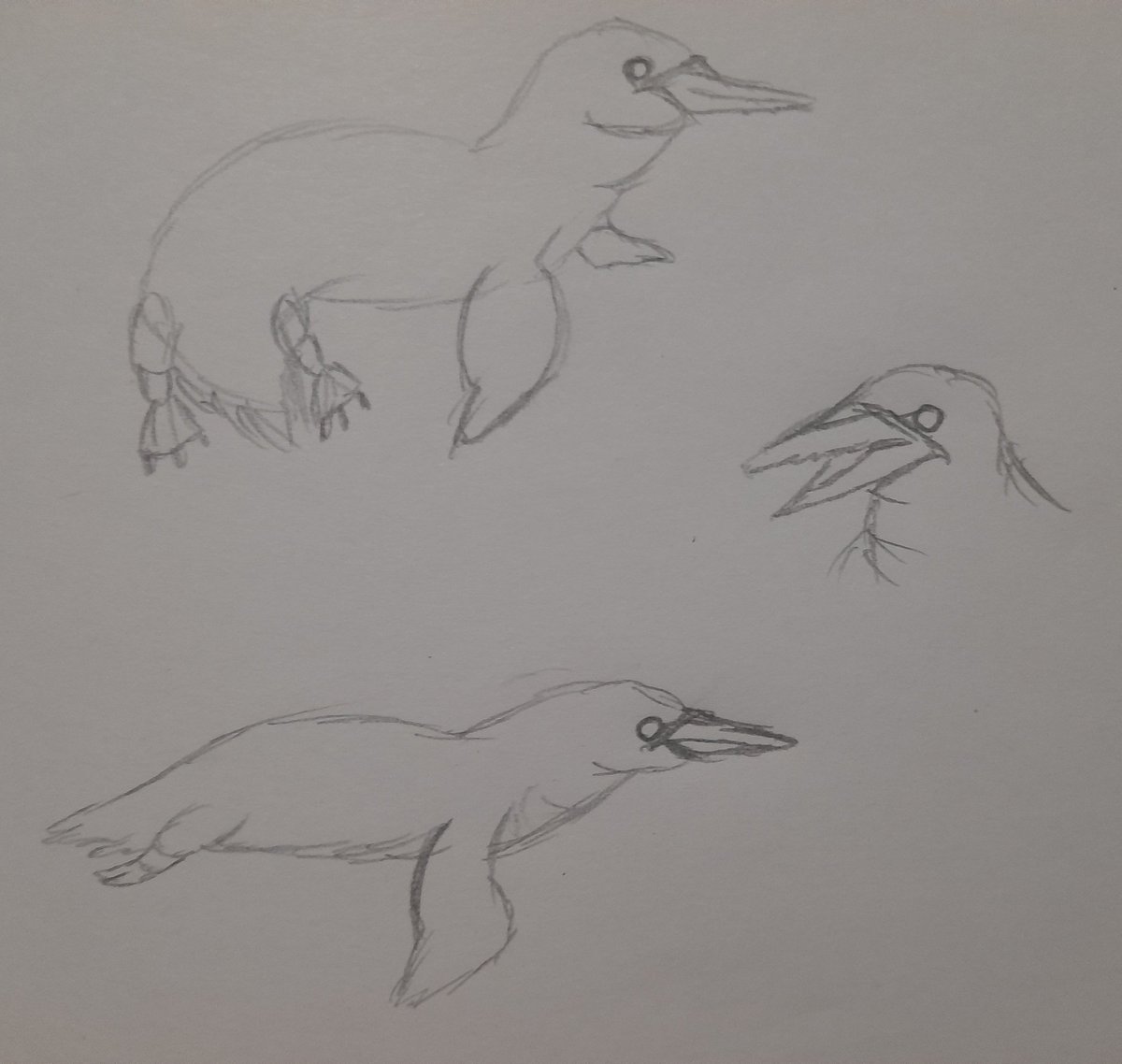 shyteru_22's tweet photo. Dibujo diario #16
The gannetwhale
I love this creature 
#thefutureiswild #art #draw https://t.co/CHX9dsPKGM