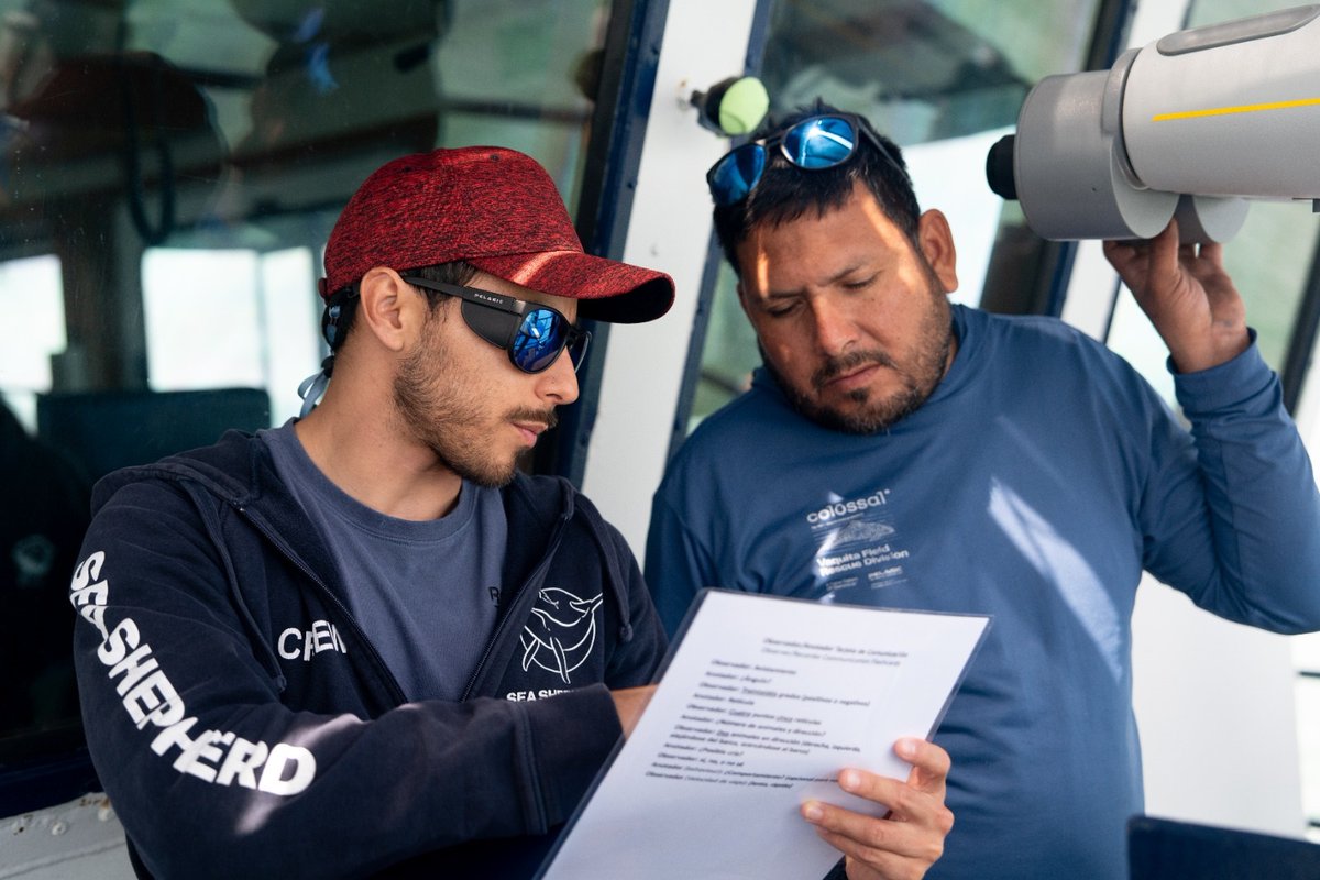 CONANP_mx's tweet photo. La #Conanp y @SeaShepherdSSCS publicaron los resultados de la "Campaña de Entrenamiento en Observación y Fotografía de #VaquitaMarina 2026". 🐋

Conoce más ➡️ https://t.co/QUfO8pEuGw #SomosNaturaleza #GuardianesDeLaNaturaleza 🐋🌿🌊🔭🛳️🔊 https://t.co/Vk30Wqhl3M