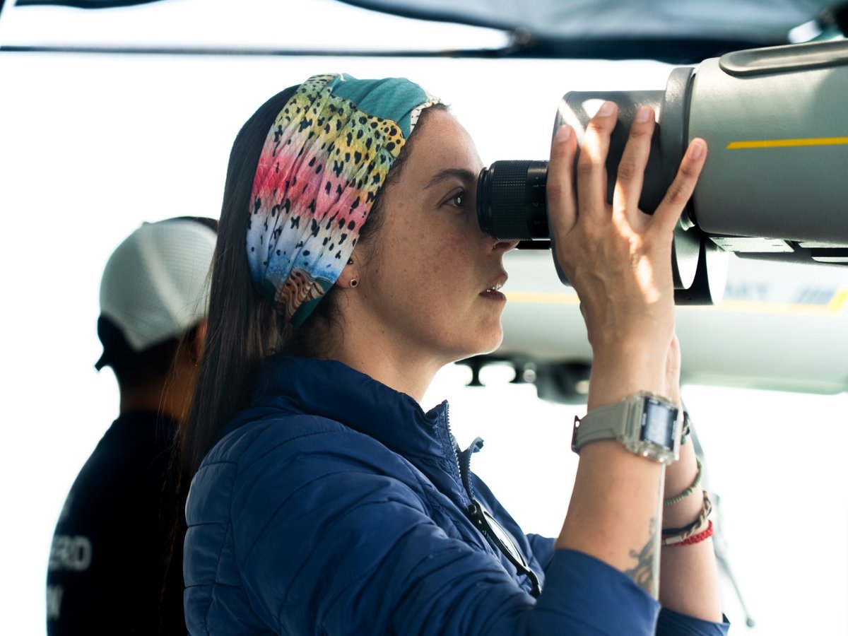 CONANP_mx's tweet photo. La #Conanp y @SeaShepherdSSCS publicaron los resultados de la "Campaña de Entrenamiento en Observación y Fotografía de #VaquitaMarina 2026". 🐋

Conoce más ➡️ https://t.co/QUfO8pEuGw #SomosNaturaleza #GuardianesDeLaNaturaleza 🐋🌿🌊🔭🛳️🔊 https://t.co/Vk30Wqhl3M