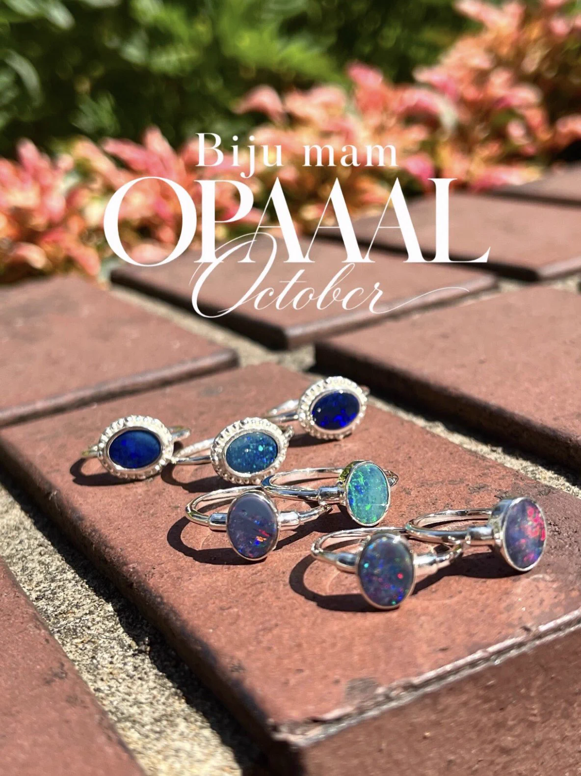 Biju mam(ビジュマム) 福岡店 в X: „10.2(Fri) New in!!! ⁡ 【Biju mam