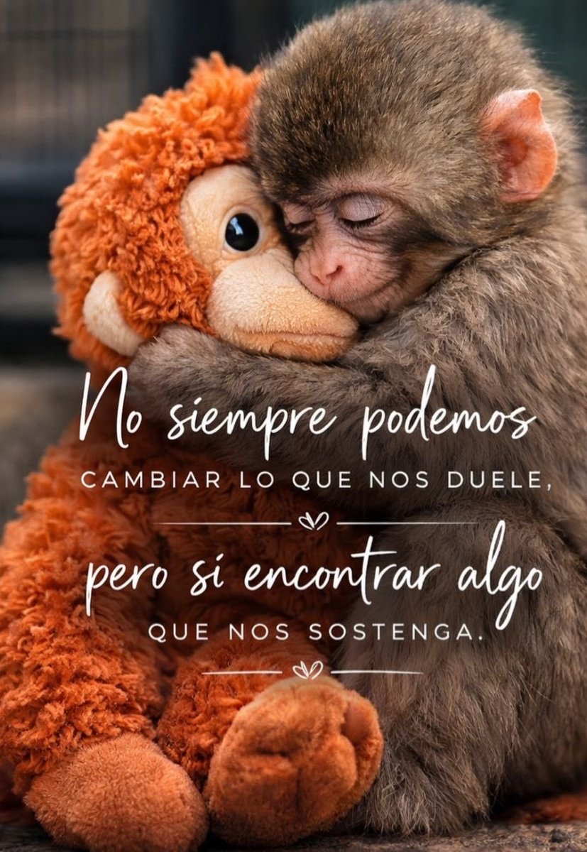 GLORIAVALLEJOO's tweet photo. https://t.co/uFqLv7OTfO