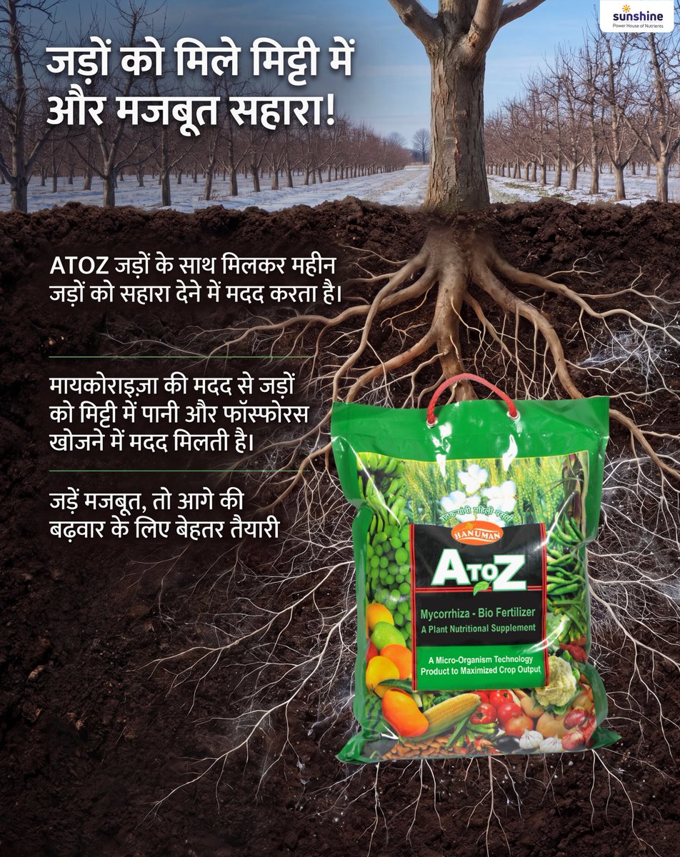 Sunshine_Agri_'s tweet photo. एप्पल  की शानदार पैदावार का सीक्रेट है जड़ों की सही शुरुआत!

डॉर्मेन्सी (Dormancy) से पिंक बड (Pink Bud) तक के सफर को मजबूत बनाएं Sunshine Agri के ATOZ + Welrich कॉम्बो के साथ। यह मिट्टी को उपजाऊ बनाकर पौधे को देता है पोषण! 

#SunshineAgri #AppleFarming #SmartFarming #ATOZ https://t.co/eGOlKXWcI4