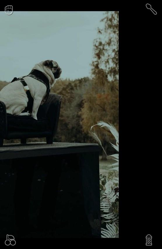 osssamnkMJ0502's tweet photo. The pure joy of puppies is simple and straightforward. A simple toy or a casual accompany can make them happy, letting people understand the true meaning of trivial happiness.🚈Repair the microwave Inside, wiped https://t.co/EvUVo64ybY