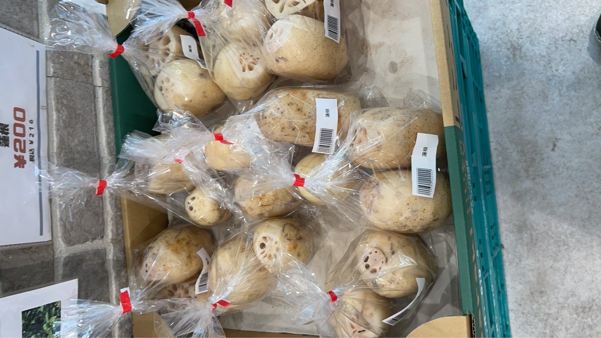 FoodPlaceIto's tweet photo. おはようございます。
キャベツ¥480
大根￥250
ピーマン￥130
茄子￥230
椎茸￥100
かぶ￥180
蓮根￥200
栗￥900
白茄子￥150
かぶ￥180
ゴーヤー￥150
茗荷￥200
あけび￥250
柿¥380
梨￥550
りんご¥480
デラウエァ￥450
みかん￥200
その他にも多数あります。
https://t.co/Est02wAqea https://t.co/G1InPg6KHw