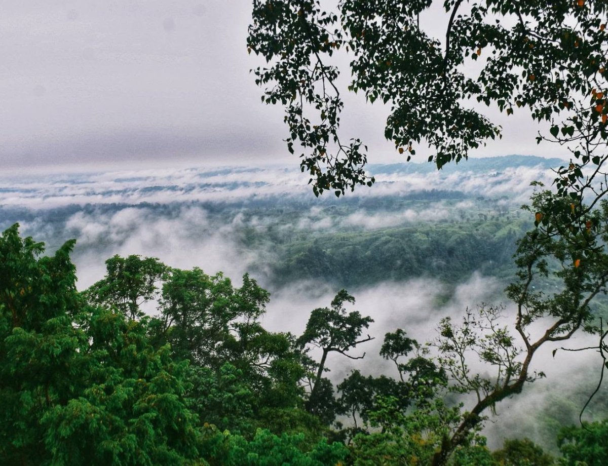 Nature3ngc's tweet photo. #ppfileoynamatamöde https://t.co/d2w5mSz97t