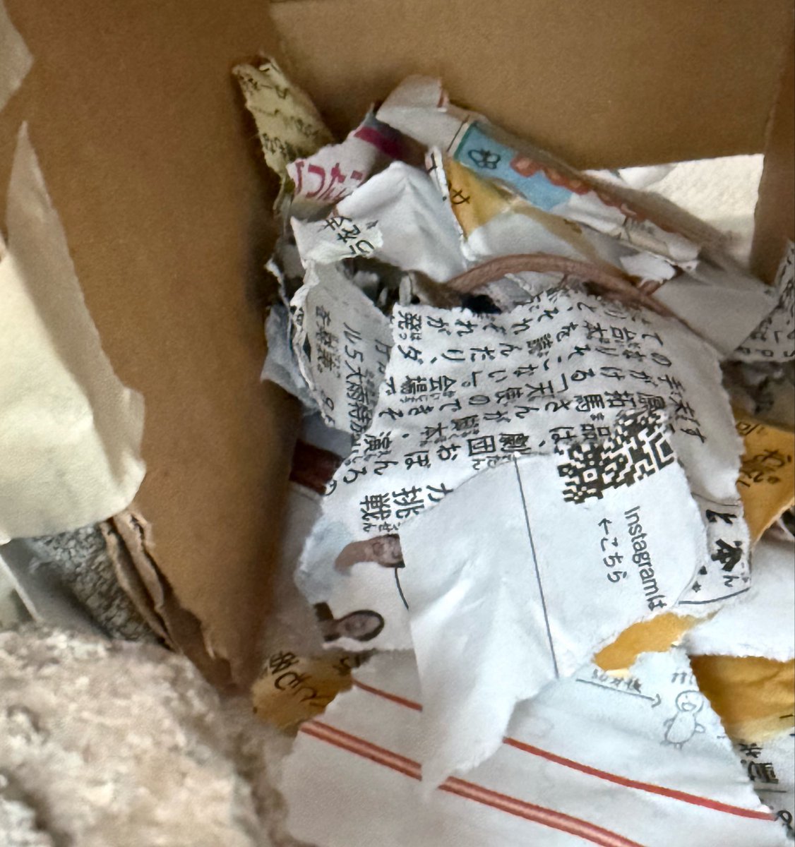 tyu778's tweet photo. ヒーターが届くまでの応急処置。
新聞に潜って顔出すカナヘビがかわいい😍 https://t.co/ZvlGo8zHb9
