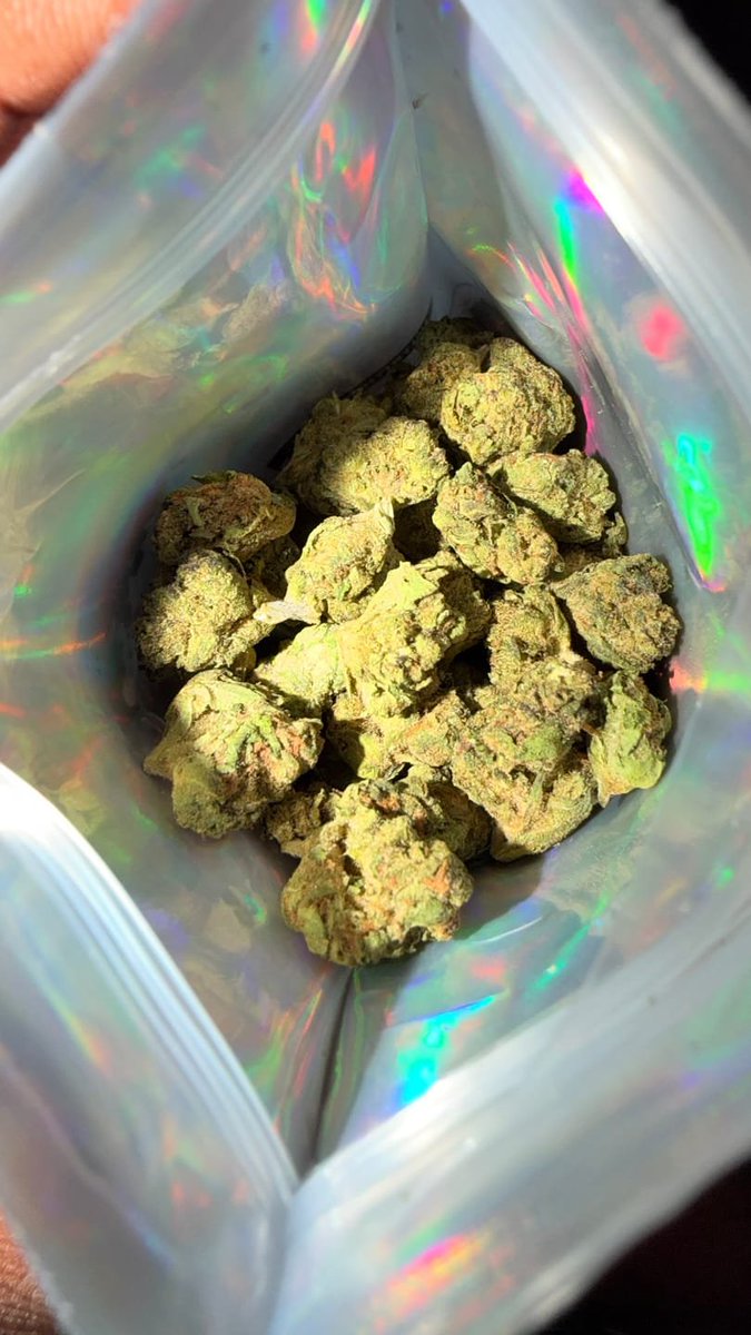 Hellaslump3187's tweet photo. I’ve been wanting to get something for the longest, This some gas fasho love the high and the smoke, I also love the way the weed break down 🔥
Item type:
14g / Octane Gas

#drugstwt #drugtwt #weedtwt #smoke https://t.co/5MF8rw7VD0