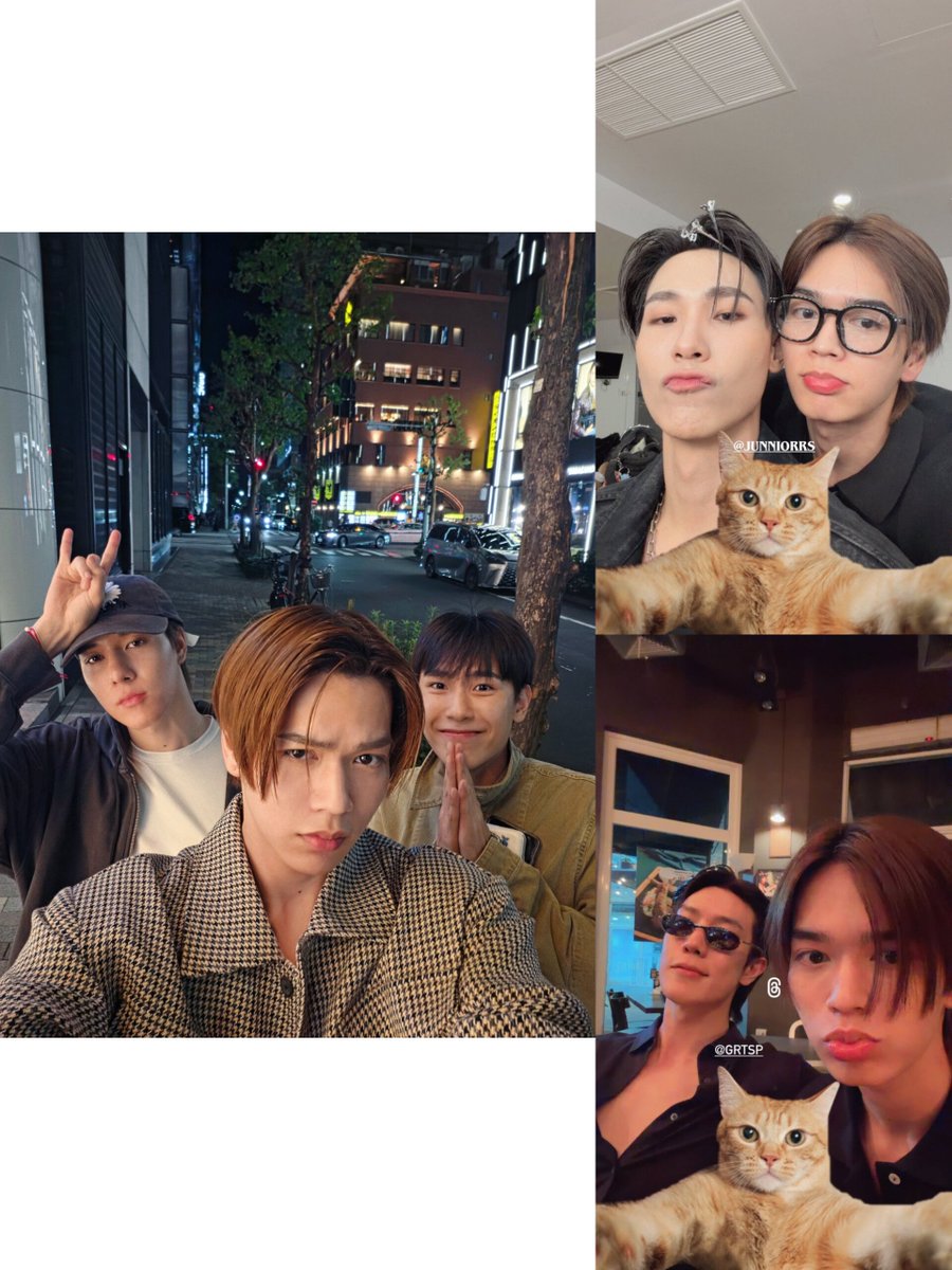 bbbittersweettt's tweet photo. ก็ว่าทำไมคุ้นๆ อ่อ filter แมว v.2 อ่อ https://t.co/syl1qq85xj