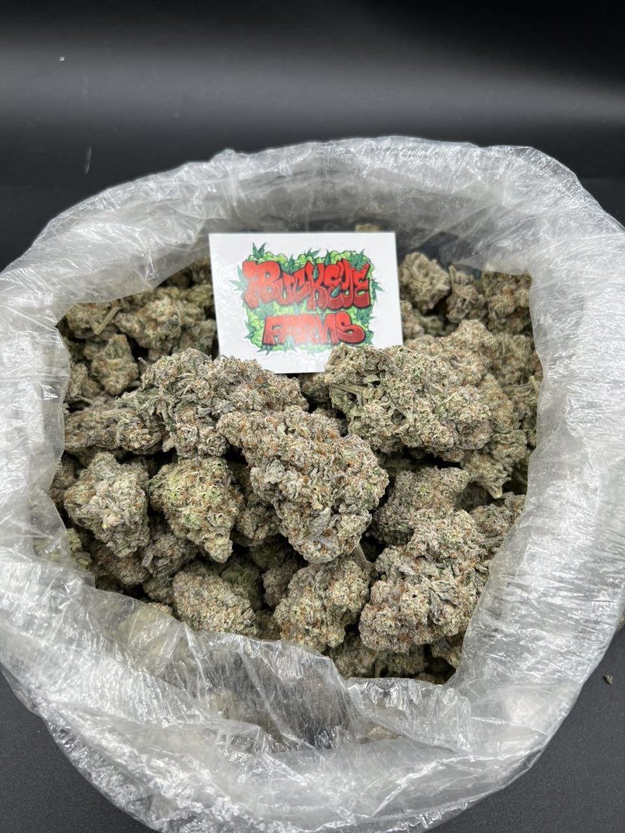KushBlend's tweet photo. Global weed plug in Dublin, Ireland Dubrovnik, Croatia Düsseldorf, Germany Eindhoven, Netherlands Florence (Firenze), Italy
Frankfurt am Main, Germany
Gdańsk, Poland Geneva, Switzerland Genoa (Genova), Italy
Glasgow, United Kingdom (Scotland) Gothenburg (Göteborg), Sweden https://t.co/Il4v58GwJU