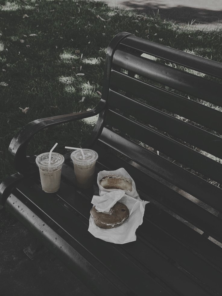 Apothecariy's tweet photo. ㅤㅤ
ㅤㅤㅤ𐩺 𝗪𝗜𝗟𝗦𝗛𝗜𝗥𝗘 𝗚𝗥𝗘𝗘𝗡 𝗣𝗔𝗥𝗞 
ㅤㅤㅤ𝟴𝟬𝟮 𝗦 𝗦𝗶𝗲𝗿𝗿𝗮 𝗕𝗼𝗻𝗶𝘁𝗮 𝗔𝘃𝗲, 
ᅠᅠᅠ𝗟𝗼𝘀 𝗔𝗻𝗴𝗲𝗹𝗲𝘀, 𝗖𝗔.
ᅠᅠᅠ𝟴:𝟱𝟱 𝗔𝗠
ㅤㅤㅤ
❛Flowers and bagels to end your LA fun, and thanks for your time, Kitty, @noctivelles. Until we meet again.❜
ㅤㅤ https://t.co/d1WbRh8fvP
