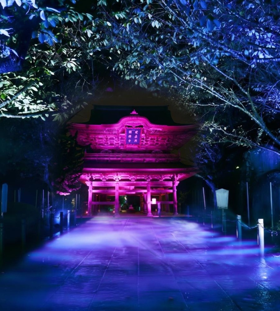 fashionpressnet's tweet photo. 鎌倉・建長寺”禅”を体感する夜間アートイベント、雲海を囲む紅葉ライトアップ＆脳波坐禅体験 - https://t.co/ITuYqThHj7 https://t.co/pF5Aubzt9m