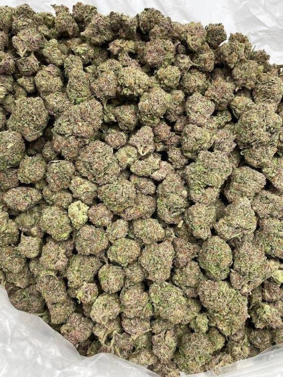 KushBlend's tweet photo. We mobile 🚚🚚🚚link in bio weed Ballwin weed Wildwood weed Raytown weed Liberty weed Kirkwood weed Maryland Heights weed Hazelwood weed Wentzville weed University City weed Ferguson weed Arnold weed Belton weed Grandview weed Harrisonville weed Pleasant Hill
#türkiyefransa https://t.co/yVJucTCOXT