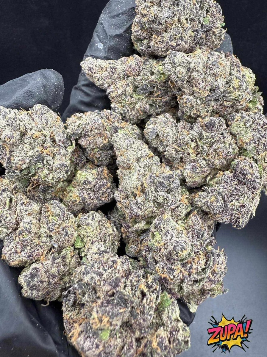 KushBlend's tweet photo. Global weed plug in Dublin, Ireland Dubrovnik, Croatia Düsseldorf, Germany Eindhoven, Netherlands Florence (Firenze), Italy
Frankfurt am Main, Germany
Gdańsk, Poland Geneva, Switzerland Genoa (Genova), Italy
Glasgow, United Kingdom (Scotland) Gothenburg (Göteborg), Sweden https://t.co/Il4v58GwJU