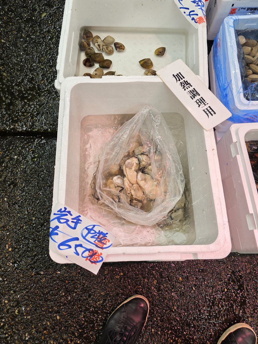 ccc_ccc_ccava's tweet photo. チビ〜デカまでアラ祭り🫢
#磯崎
想いを寄せるオナガ…😍
#大内商店

牡蠣(むき身)が食べたくて行きましたがまだ早いので値が張りすぎで泣きながら帰りました…😭

#足立市場
#見てるだけでも楽しい
#カキ
#アラ
#オナガ https://t.co/TJTMWCIfMQ