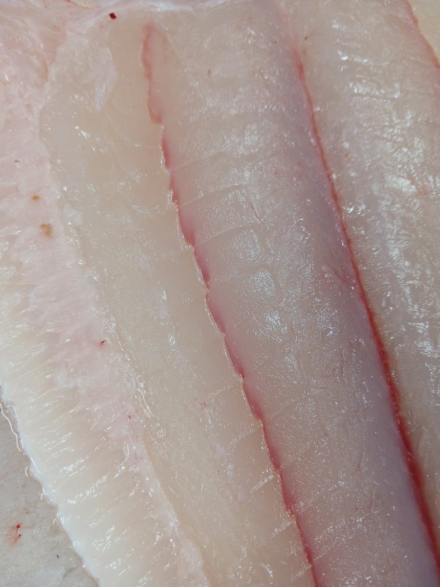 1E2znlirtRPkqLH's tweet photo. いいヒラメ来たぜ✨
これうまいべ😋

ふくらぎ🐟アジ🐟

お刺身でどーぞ✨ https://t.co/3vl5vgkAvV