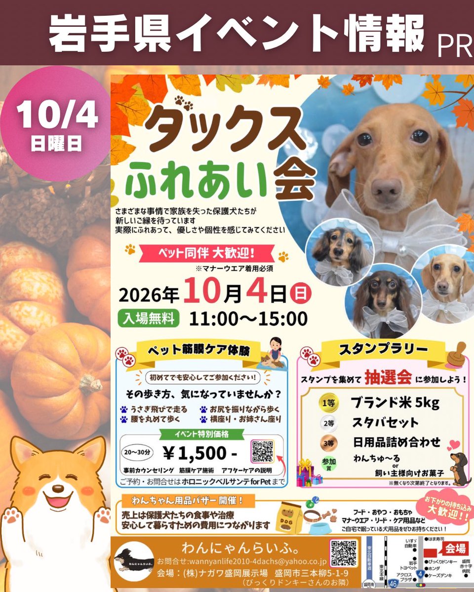COGI_otoge's tweet photo. 【岩手イベント】
2026年10月3日(土)、4日(日)

▼詳細はこちらから▼
https://t.co/CUC8whiaXD https://t.co/Ulx7ngkLpv