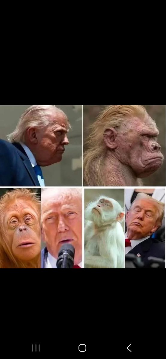 Pa_Kettle69's tweet photo. @diananidwitz @GuntherEagleman Election night will be thing to behold! 😅 https://t.co/KaLt9TG3MJ