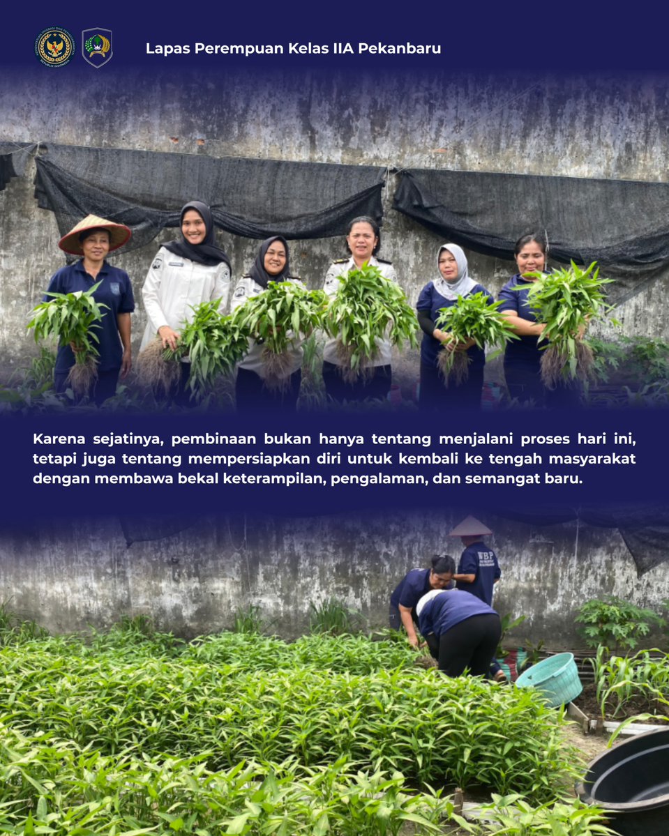 LppPku's tweet photo. Menanam Harapan  Menuai Masa Depan, Panen Kangkung di Lapas Perempuan Pekanbaru 🌿 https://t.co/61EblVXSZf