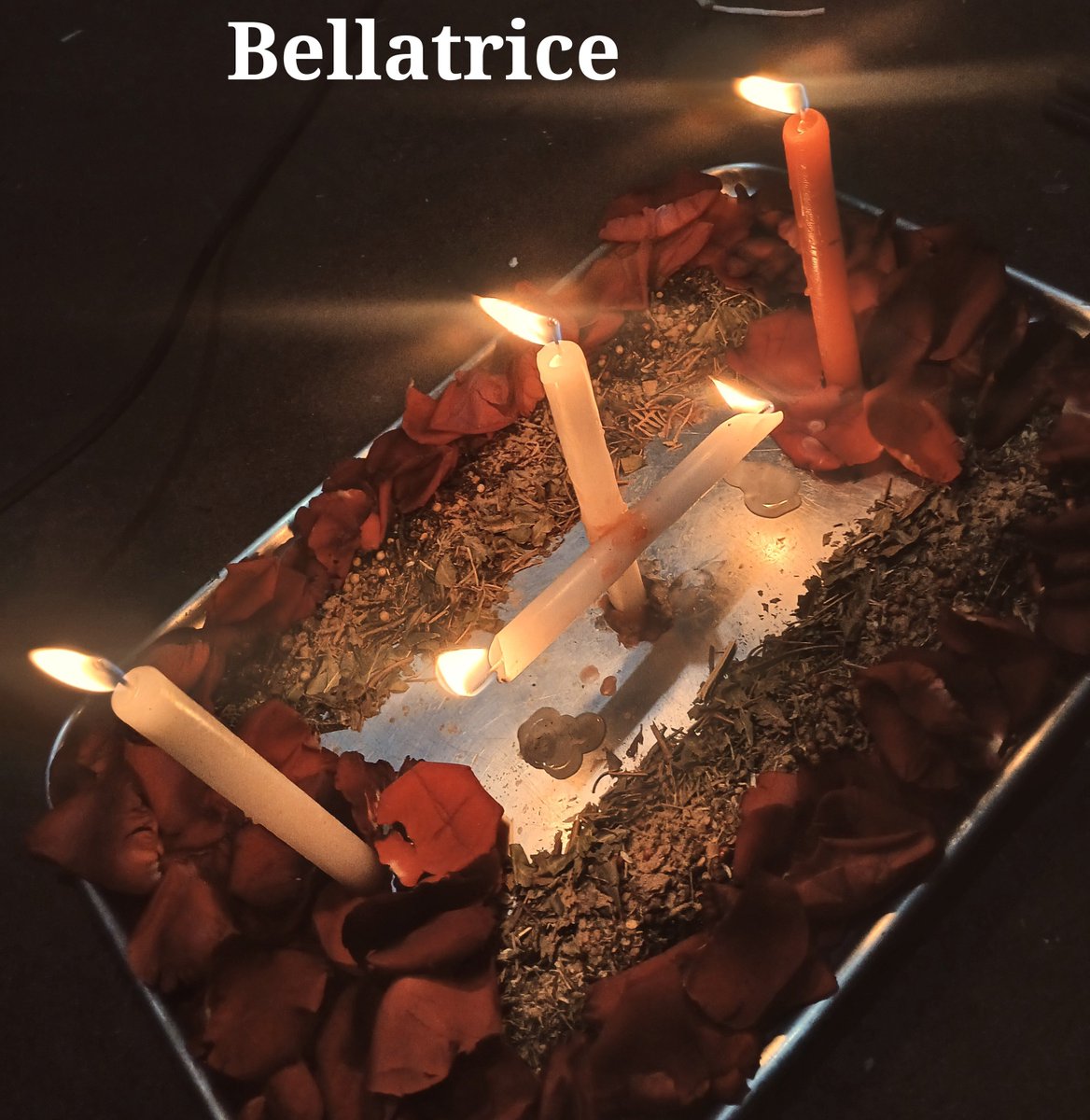 Bellatricekn's tweet photo. trabalhinho de hoje ♡
     venha ate mim https://t.co/4bAu9fBt7v