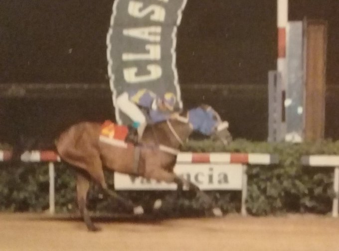 jfarache's tweet photo. 03/10/1997 se retiró ganando MONEY PLUS al hacerlo en el Clásico Arturo Michelena.

Triplecoronada en Valencia, Campeona a los 3 y 4 años, fue dos veces Caballo del Año en el Hinava y con campaña de 26-17.

Fue adquirida para la cría por Amín Saiden para su Haras San Isidro, produciendo entre otros a Gran Estefanía (ganadora del Clásico Simón Bolívar).