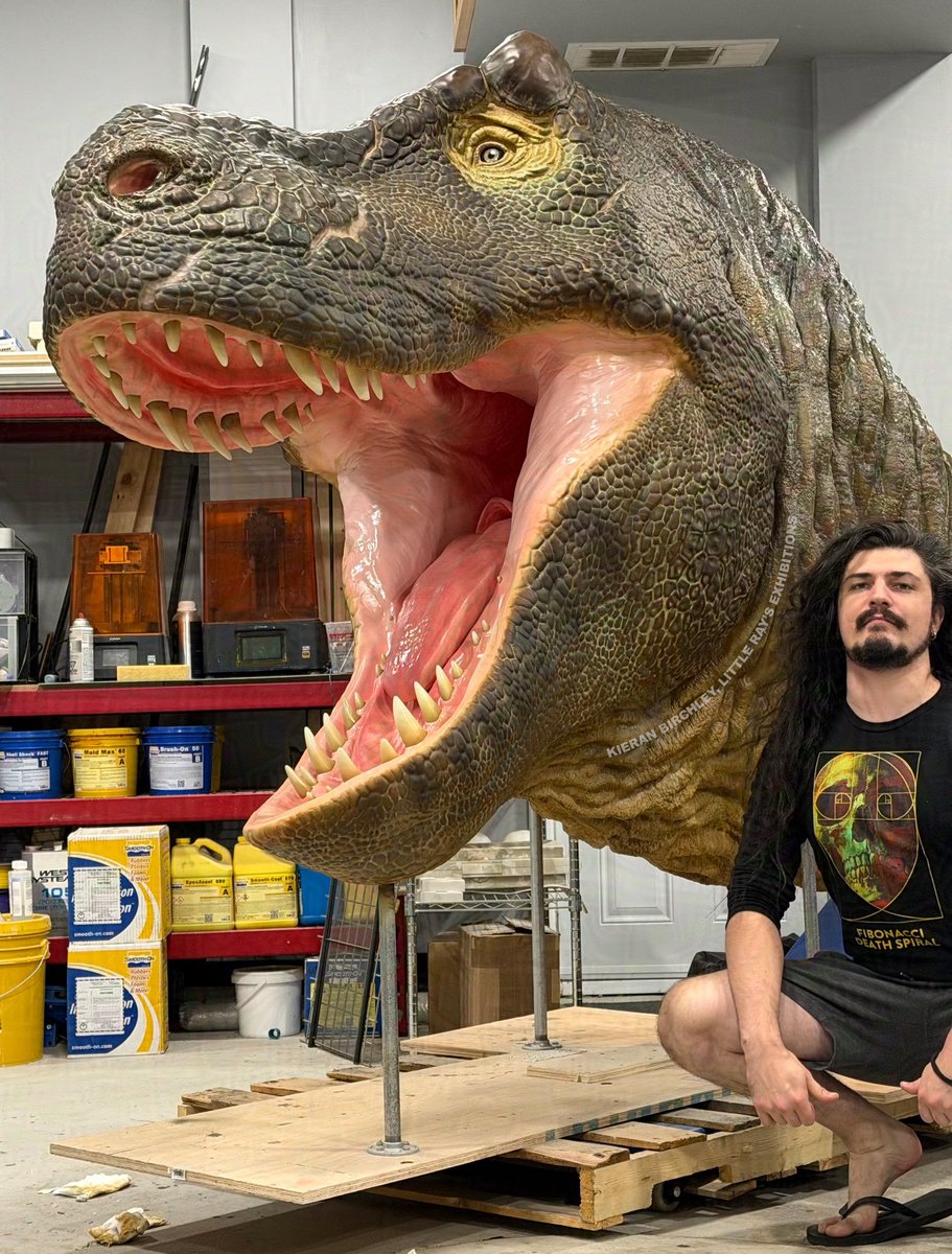 johann122004's tweet photo. Hmmmmmmm, I have an Idea.

Source:

Left: @/Kieran
Right: @/CallieSauria https://t.co/xIqVNO7HGf