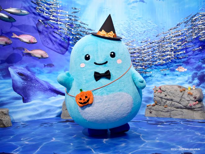 enosui_com's tweet photo. 🎃あわたん ハロウィン撮影会🎃
🗓️10月3日(土)  ほか
🕐12:45～、14:15～
📍相模湾ゾーン 2F フォトコーナー

えのすいの公式キャラクター” あわたん ” が
フォトコーナーにやってくる🫧

10月だけの特別な衣装の
あわたんと一緒に、
写真撮影を楽しみましょう📷🩵

https://t.co/OwX1v2pa0D https://t.co/MgVnYkL84W