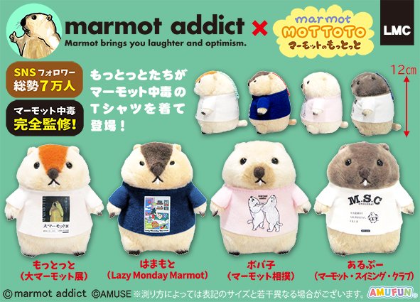 AMUSE_japan's tweet photo. ＼　予告！　／
夢のマーモットコラボ！？

SNS総フォロワー7.6万人！あの大人気マーモットデザイナー『マーモット中毒』さん完全監修のコラボぬいぐるみ！
Tシャツを着たむちむちの #マーモットもっとっと たちが登場予定！

【マーモット中毒×マーモットのもっとっと】
2027年 3月 登場予定！
#AMUFUN　#AMUSE新商品