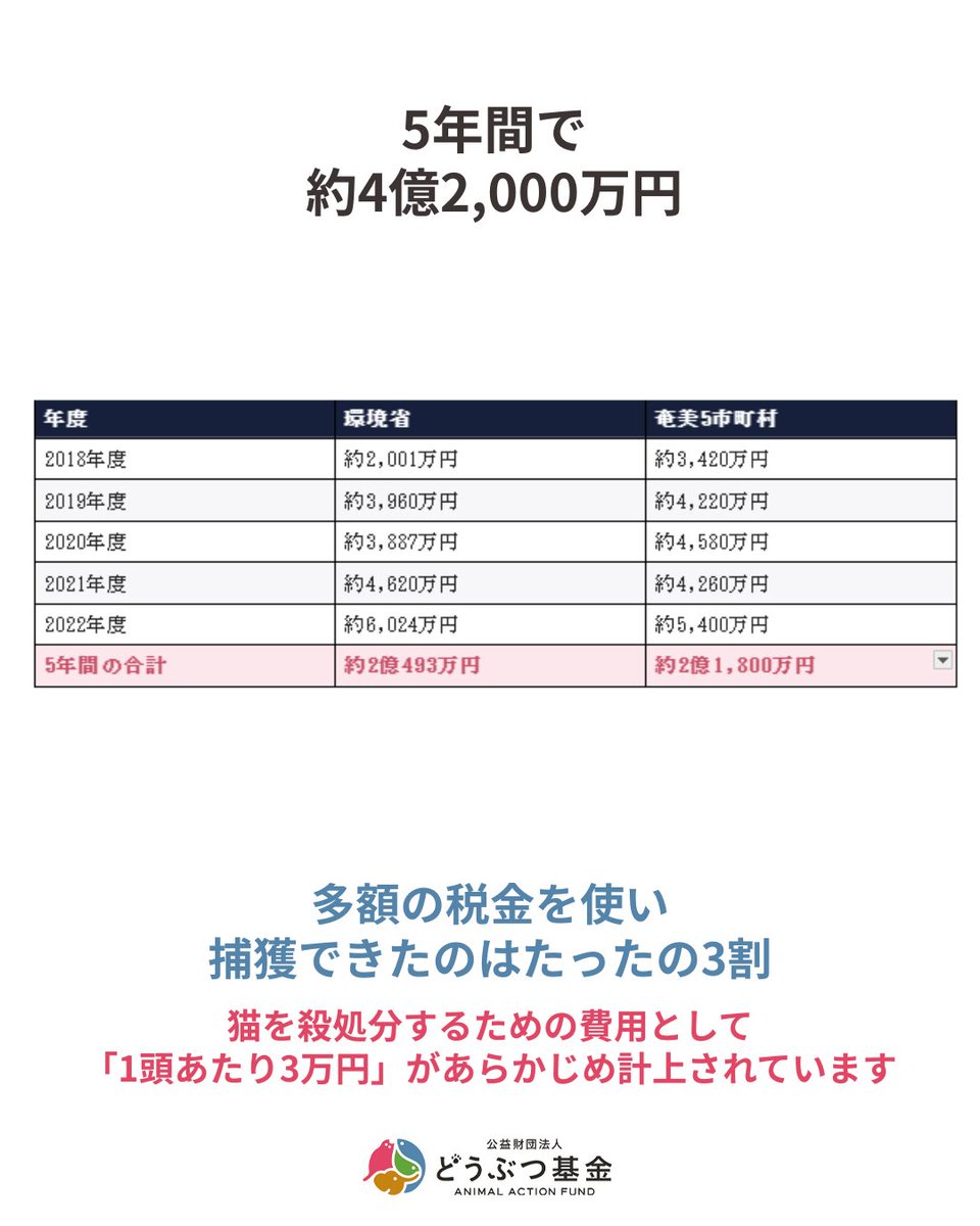 Doubutukikin's tweet photo. 「奄美大島における生態系保全のためのノネコ管理計画」

この計画に、これまでいくらの税金が使われたと思いますか?

環境省が国会で示した契約額は、2018〜2022年度の5年間だけで

約4億2,000万円

環境省分と、奄美5市町村分を合わせた金額です。

これに、捕獲器やカメラの購入費用(5年で約1,600万円)も別途かかっています。

そして、この計画は2027年度まで続く予定。
事業費は、毎年これくらいの規模で使われ続けています。

でも、前の投稿でお伝えしたとおり、8年間の捕獲実績は目標のおよそ3割(783頭)にとどまっています。

多額の税金を投じながら、目立った成果は上がっていない。
このお金の使い方、みなさんは納得でき���すか? コメントで教えてください。

＝＝＝＝＝＝＝＝＝＝＝＝＝＝＝＝＝＝＝＝＝＝＝＝＝＝

▼署名サイトをご覧ください
世界遺産を口実に、奄美や沖縄の猫を安易に殺処分しないでください！
https://t.co/m2RHQ9emUT

▼不正なネコ駆除計画を中止に！ご支援ください
https://t.co/9WfOeZ42ai

＝＝＝＝＝＝＝＝＝＝＝＝＝＝＝＝＝＝＝＝＝＝＝＝＝＝

#ノネコ管理計画 #どうぶつ基金 #さくらねこ #TNR