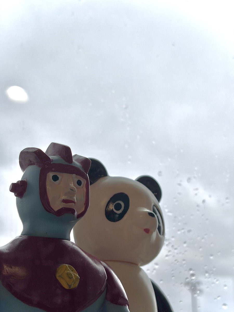 nushikuro's tweet photo. 今日も雨☔ https://t.co/rGAxfSP9mX