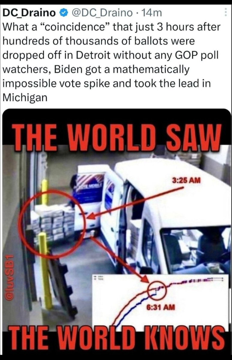 GoneGalt's tweet photo. @timburchett Unfortunately, what matters is rigged elections in michigan https://t.co/NF4MWMALjO