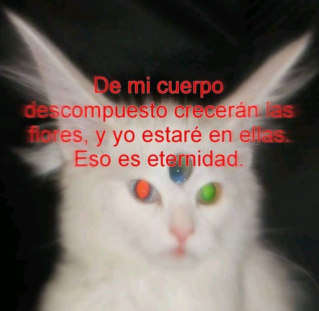 Mantequilla90's tweet photo. https://t.co/3FU5yfvj2d
