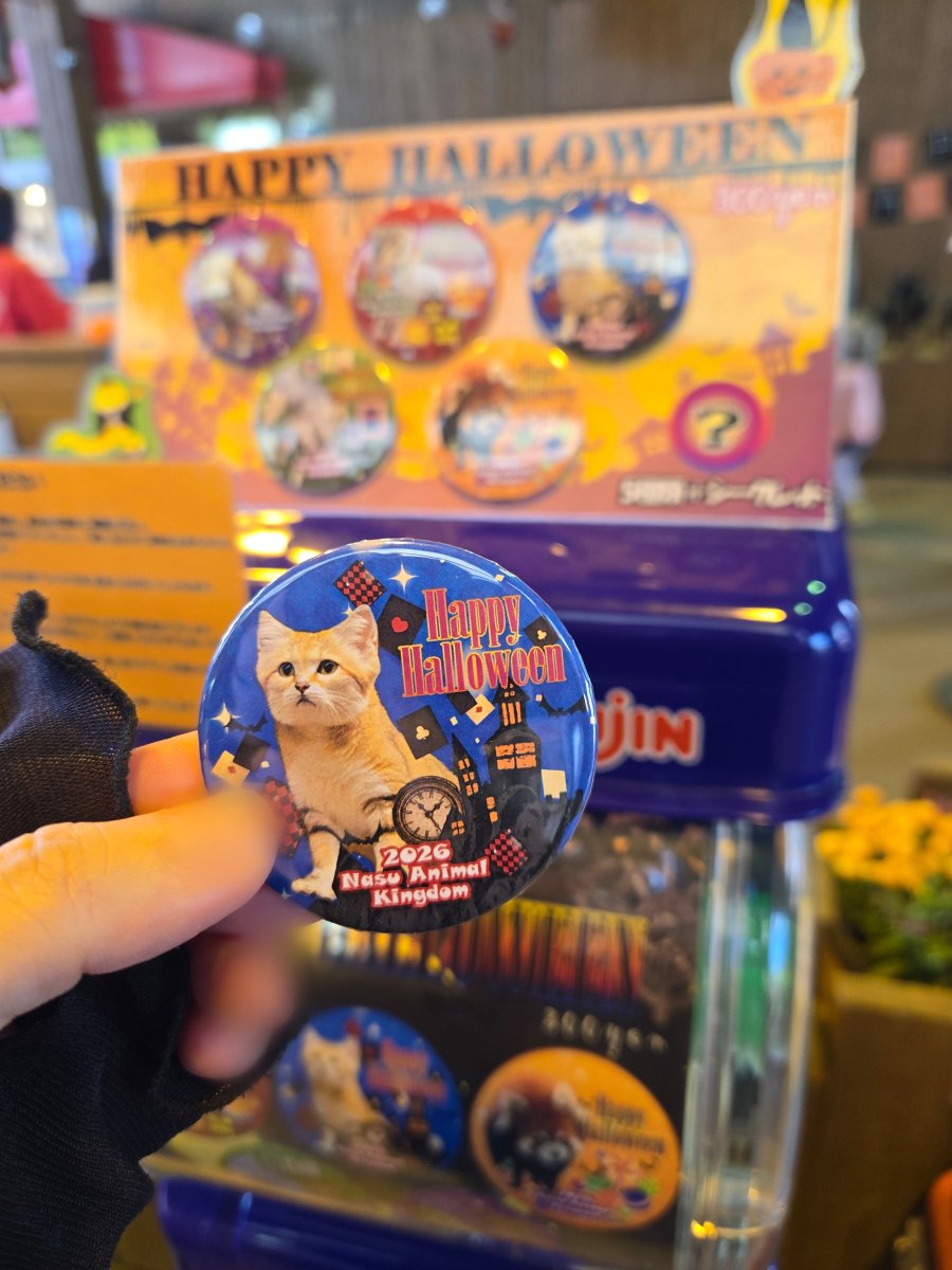suna_manuru's tweet photo. 今日の那須~🍆
ジャミちゃん相変わらずの定位置でスナ😸ฅ
ハロウィンガチャの��発目からアルドくん🐾
📷:2026.9
#スナネコ #ジャミール
#那須どうぶつ王国
#保全の森 #sandcat
#nasuanimalkingdom https://t.co/zLc3fCxJJL
