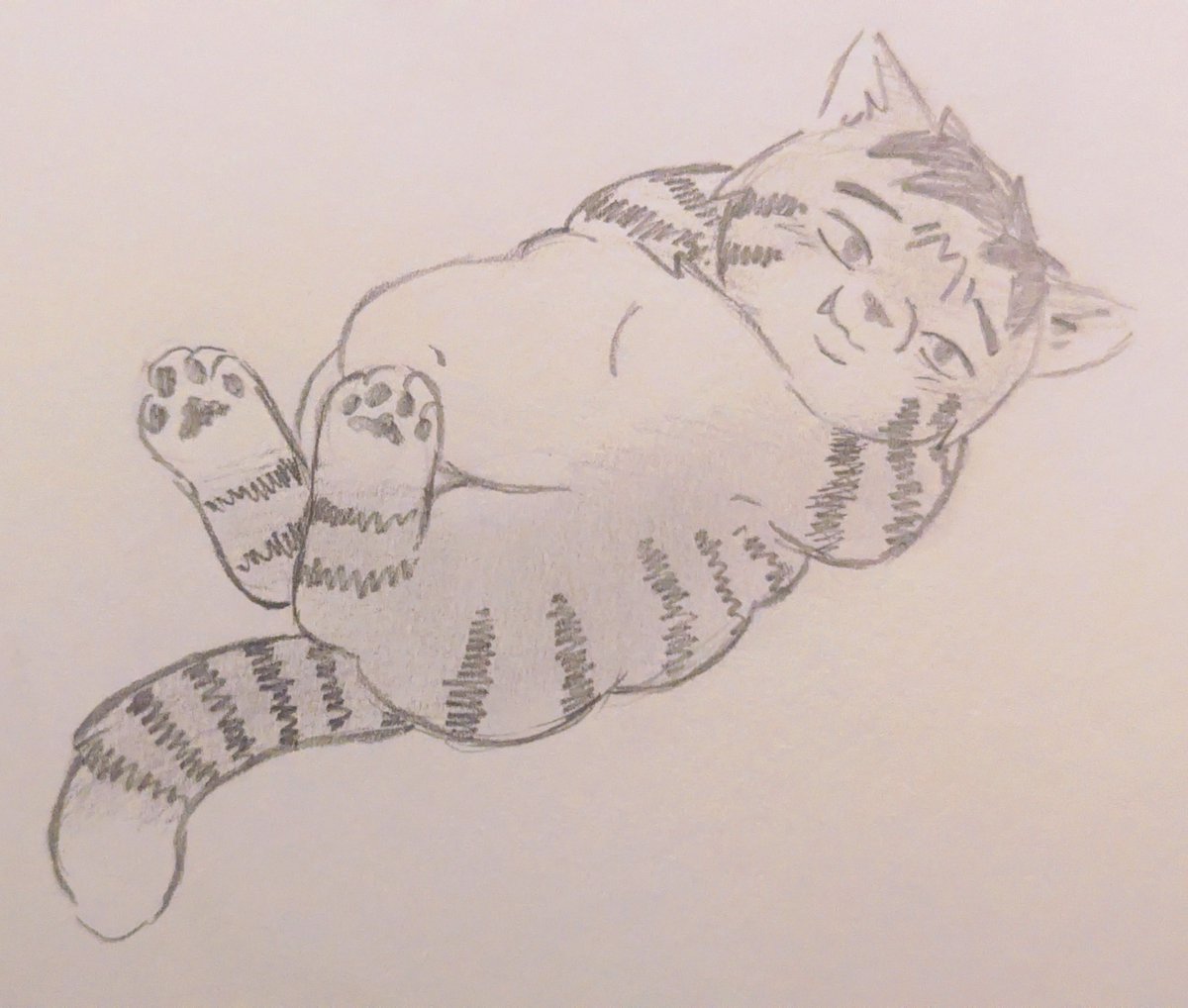 roundnred's tweet photo. the new episode was buns but it doesn't matter i was expecting as much and lately I'm just living in my own world drawing my furry version of cartman https://t.co/L9MOYg7PqS