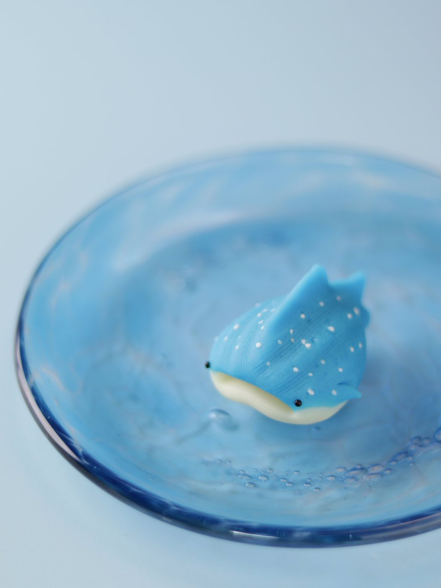 beniyamiyake's tweet photo. 「じんぞーざめ」🦈
子供がジンベエと呼べず「じんぞー」と呼んだことから名付けた、先月の沖縄での思い出です。
那覇空港で買った琉球ガラスに飾ってみました🌊
平べったすぎて販売容器に収まらないのが難点です😇 https://t.co/34uMoZrvVM