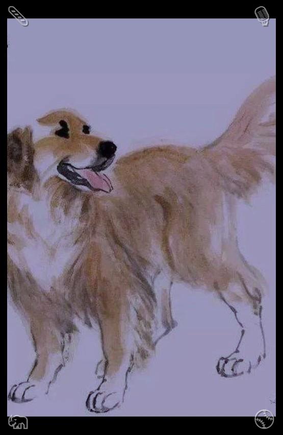 34_chika's tweet photo. Stepping out to wander freely breaks the dullness of sedentary life. Casual street walking stretches the body, broadens the vision and lets the tired soul get sufficient relaxation and comfort.🔩Dog Walk The dog is big https://t.co/VKsy05gOSY
