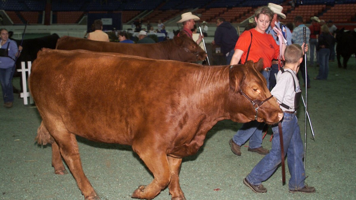 kystatefair's tweet photo. Kentucky State Fair, but make it early 2000s 🤩 https://t.co/dLEeG2ZX6M