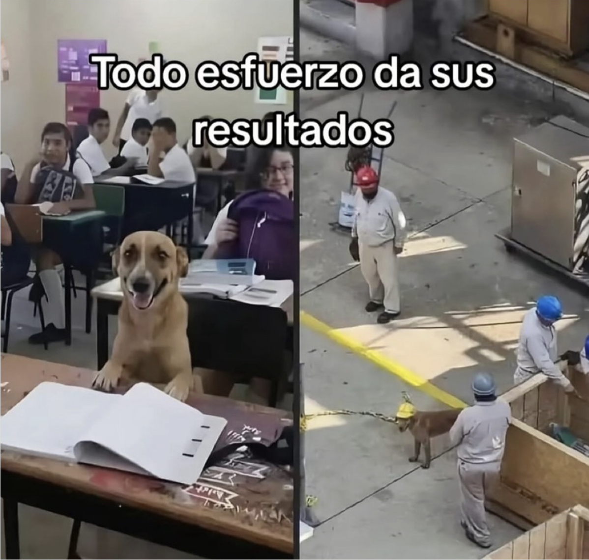 Guarromantico_'s tweet photo. Efectivamente. https://t.co/4c72XNfg5v
