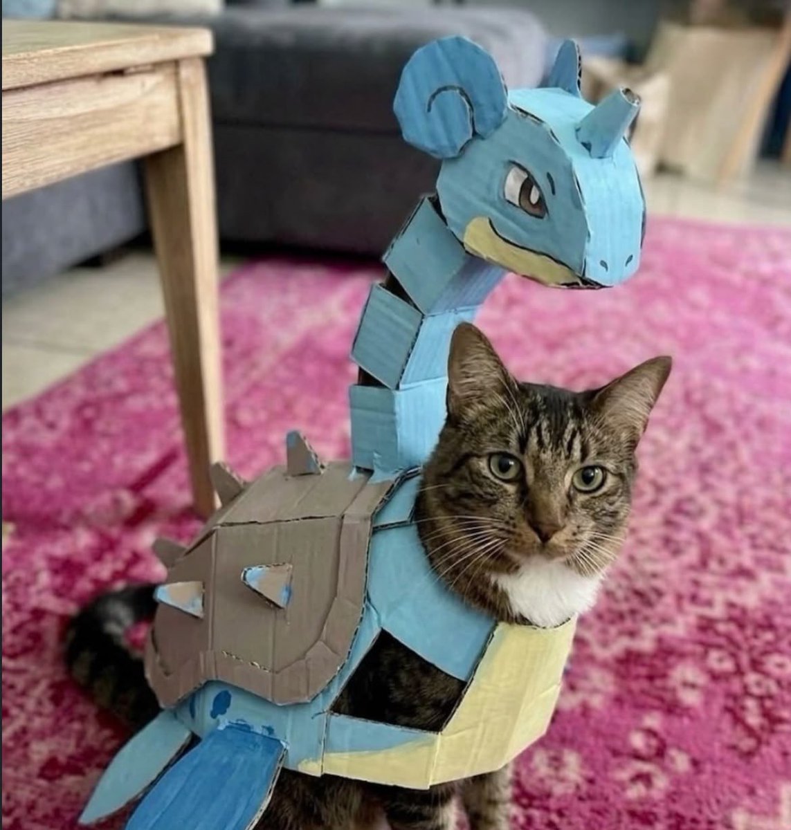 updatecharts's tweet photo. Gatinho chamado Léo ENCANTA internautas por se vestir de vários pokémons. https://t.co/kyRCvBnyJL
