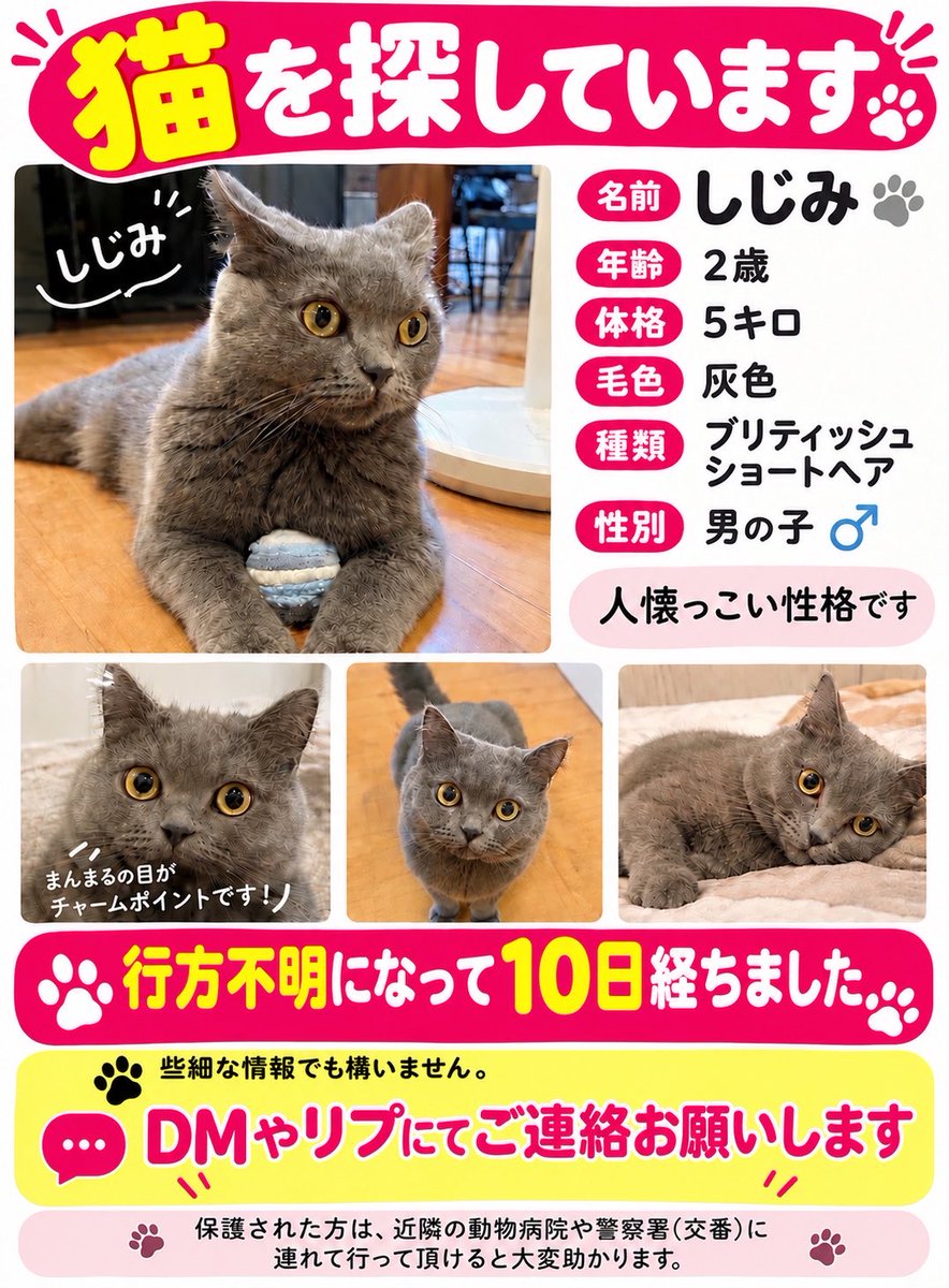 haitatsuchann's tweet photo. 本日で10日経ちました。
玄関前にダンボールに毛布とご飯を置いており、カメラも設置しましたが何の形跡もありません。
近くで猫を見た等些細な情報でも構いませんので情報お待ちしております。

#迷い猫
#木更津
#羽鳥野
#八幡台
#大久保
#拡散希望 https://t.co/0NPLVYmXXq
