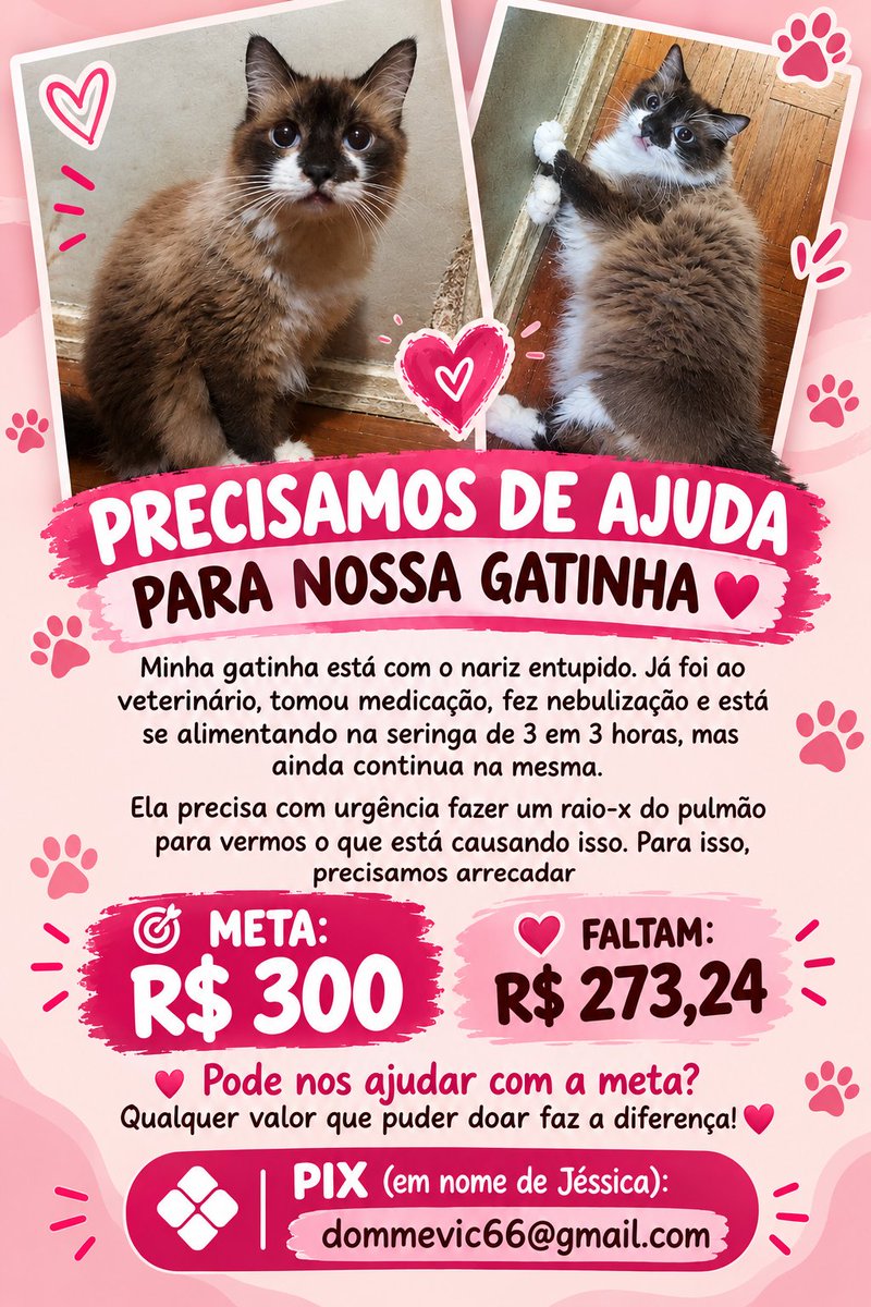 dracarysvic's tweet photo. Atualização sobre as doações pra ajudar minha gatinha a fazer o exame de raio-x que ela precisa urgente ⬇️⬇️

Meta : 300,00
Faltam : 273, 24 

Vou sempre atualizando vocês certinho, como eu disse, não quero dinheiro pra mim, tudo é apenas para ajudar ela a conseguir o exame. https://t.co/HYW4A89G3K