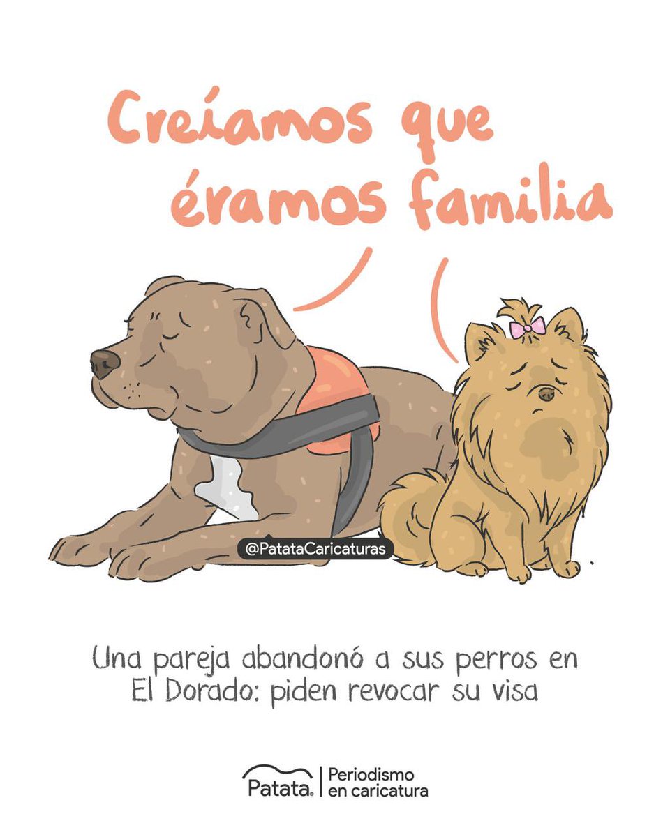 PATATAdibujo's tweet photo. 💔 Una pareja abandonó a sus perros en El Dorado. 
🧵 https://t.co/BgygwBHaxg