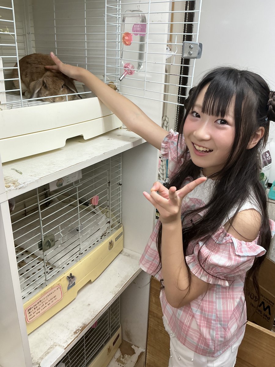 kuumoto's tweet photo. おはKwan🧚♀️💜
おそくなっちゃったけどいただいたお写真📸✨8月の撮影会の後にリク撮📸💜
初めてうさぎさんに触らせてもらって幸せすぎたᜊ(˶ᐢ. .ᐢ˵)ᜊもふもふしててかわいかったーᕱ⑅ᕱうさぎさんも性格みんなバラバラでかわいかったよ🐇🩷
📸by KGYさん✧
#モニベル撮影会 #リク撮 #Kwan https://t.co/ov5cXO6fCX